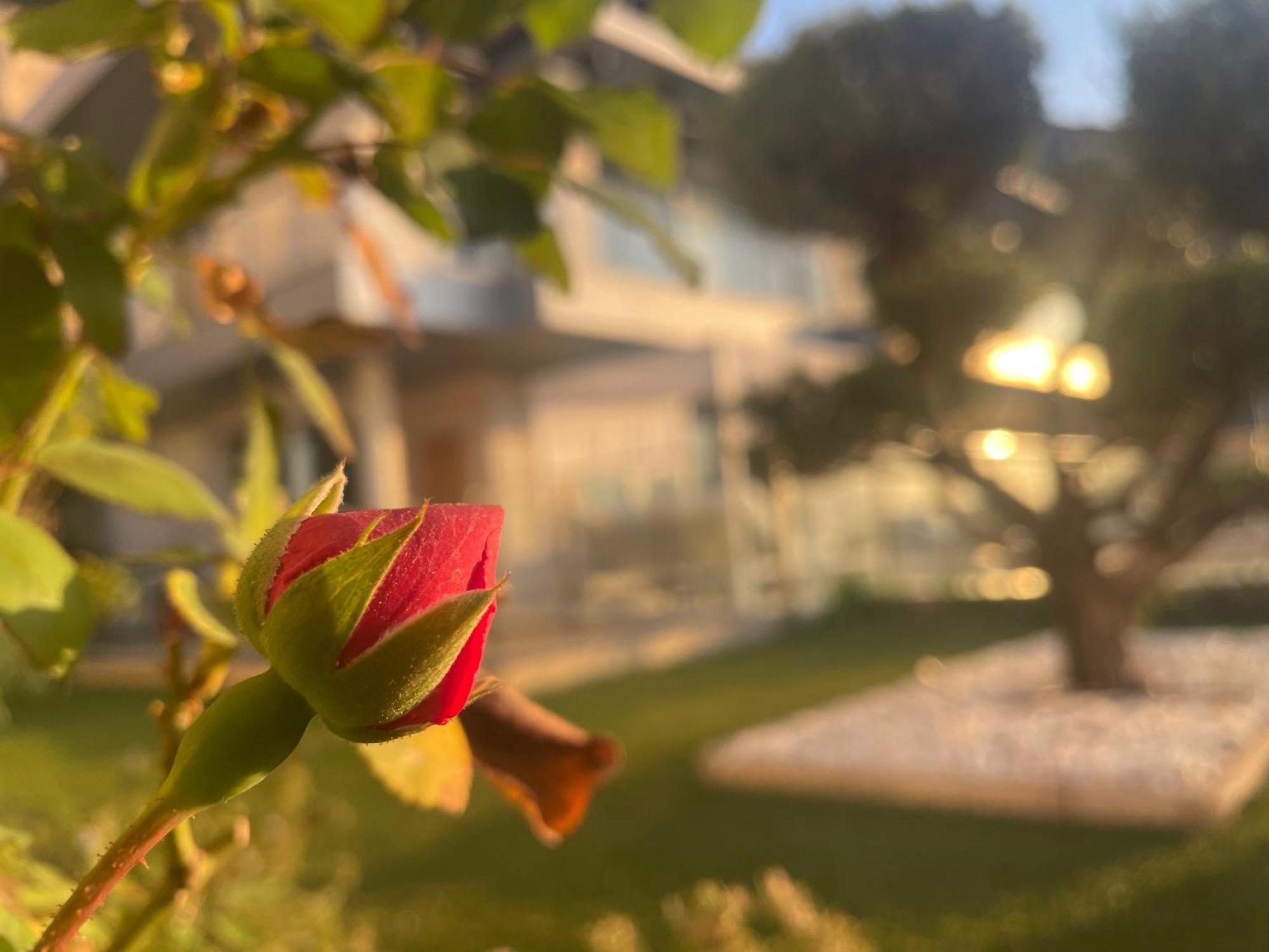 Altos De Finestrat Villa Kültér fotó